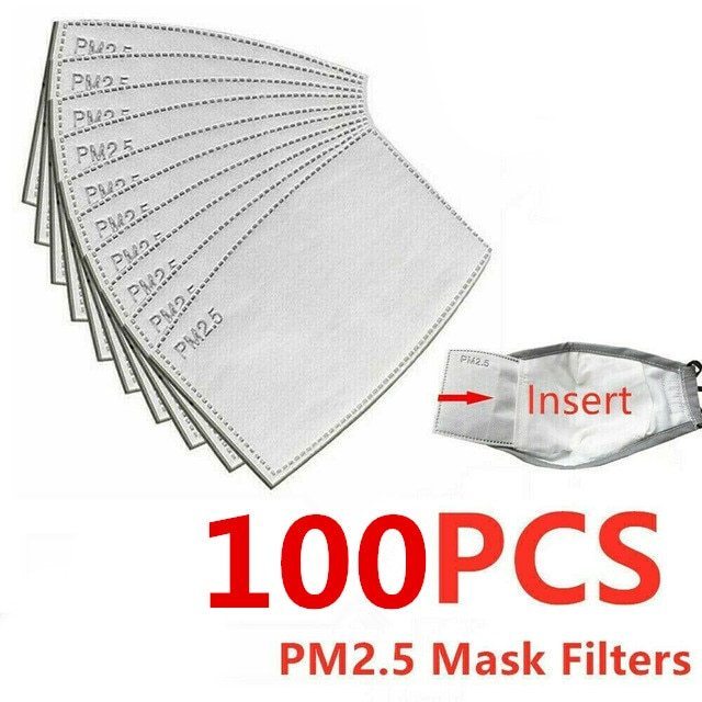 100PCS PM2.5 Activated Carbon Filter - adults